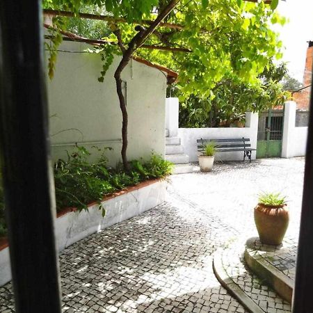 Casa Dos Pocinhos Ferias Tranquilas No Campo Torres Novas Exterior photo